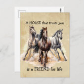 HORSE dat Trusts FRIEND voor het leven Citaat Briefkaart (Voorkant / Achterkant)