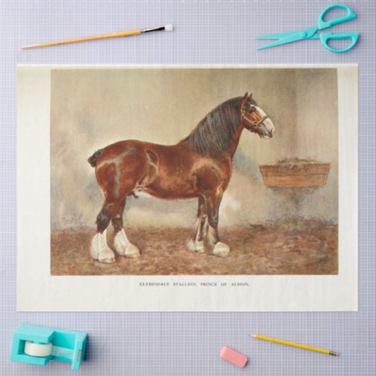 Horse Decoupage Clydesdale Hengst Tissuepapier (Craft)