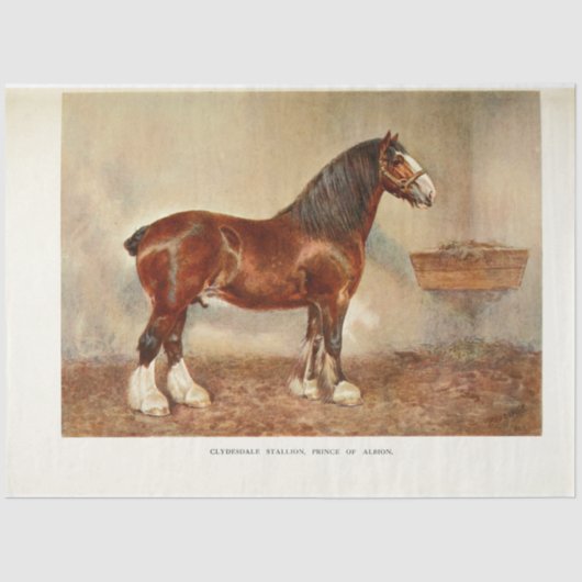 Horse Decoupage  Clydesdale Hengst Tissuepapier (Voorkant)