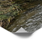 Horse-Drawn Carriage on Stone Bridge Poster (Hoek)