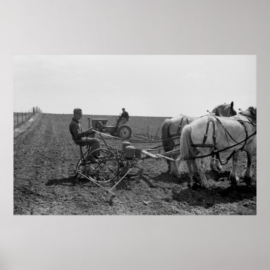 Horse-Drawn Corn Planter, 1940 Poster (Voorkant)