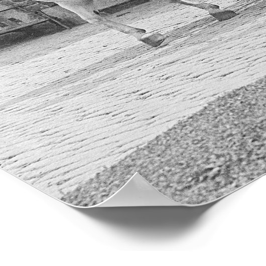 Horse Drawn Fire Engine, 1922.  foto Poster (Hoek)