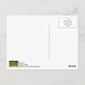 Horse Drawn Hay Rake Briefkaart (Achterkant)