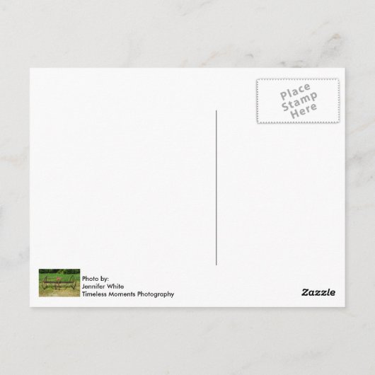 Horse Drawn Hay Rake Briefkaart (Achterkant)