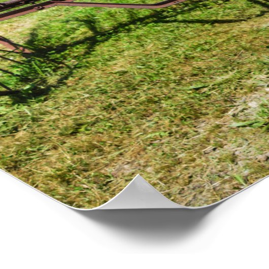 Horse Drawn Hay Rake Poster (Hoek)