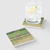 Horse Drawn Hay Rake Stenen Onderzetter (Zijkant)