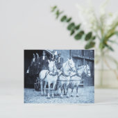 Horse Drawn Hook and Ladder Fire Company —  Briefkaart (Staand voorkant)
