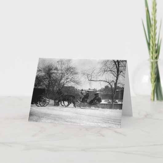 Horse Drawn Sleigh NYC Greeting Card Kaart (Voorkant)