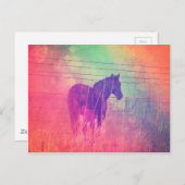 Horse Dreams Briefkaart (Voorkant / Achterkant)