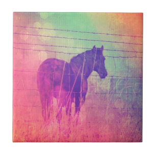 Horse Dreams Tegeltje