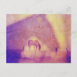 Horse Dreams van Angelandspot Briefkaart