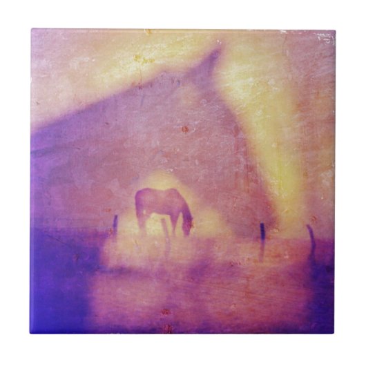 Horse Dreams van Angelandspot Tegeltje (Voorkant)