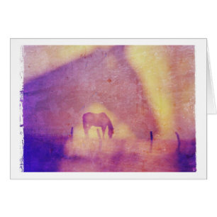 Horse dromen alle keren