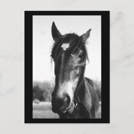 Horse, Dunwich, Engeland - Briefkaart (Voorkant)