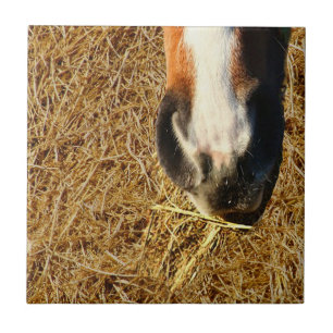 Horse Eating Hay Tegeltje