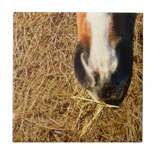 Horse Eating Hay Tegeltje (Voorkant)