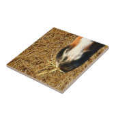 Horse Eating Hay Tegeltje (Zijkant)