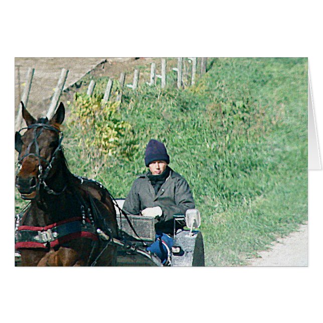 Horse en Buggy (Voorkant Horizontaal)