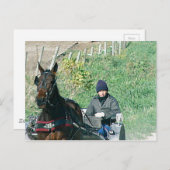Horse en Buggy Briefkaart (Voorkant / Achterkant)