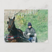 Horse en Buggy Briefkaart (Voorkant)