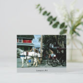 Horse en Buggy Briefkaart (Staand voorkant)