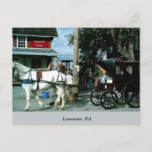 Horse en Buggy Briefkaart