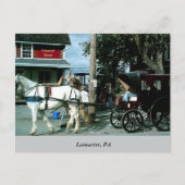 Horse en Buggy Briefkaart (Voorkant)