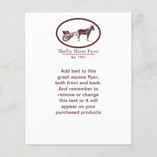 Horse en Buggy Logo Flyer