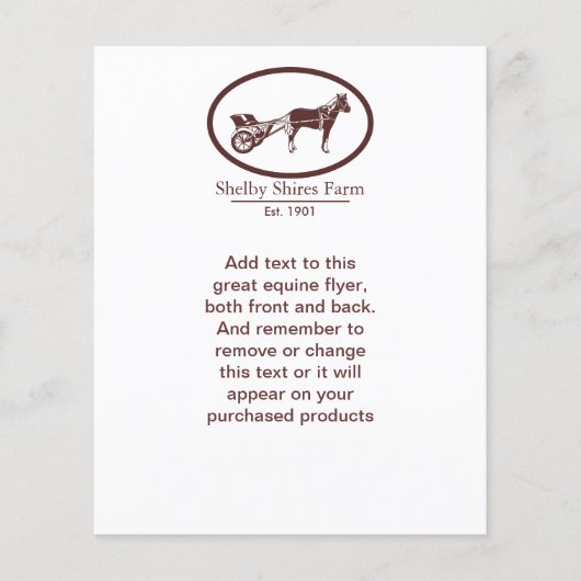 Horse en Buggy Logo Flyer (Voorkant)