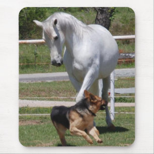 HORSE EN DOG PLAY MUISMAT