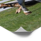 HORSE- EN DOG-POSTER POSTER (Hoek)