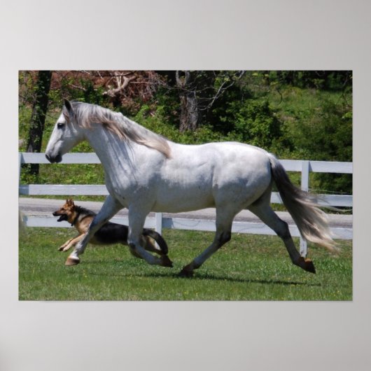 HORSE- EN DOG-POSTER POSTER (Voorkant)