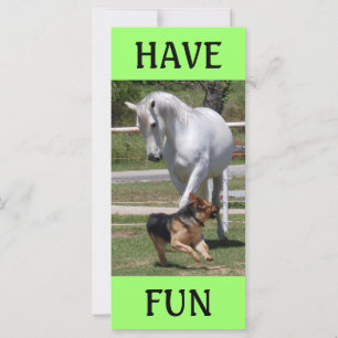 HORSE- EN DOG-SPELEN