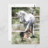 HORSE- EN DOG-WATERVERF BRIEFKAART (Voorkant / Achterkant)