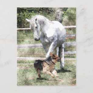 HORSE- EN DOG-WATERVERF BRIEFKAART