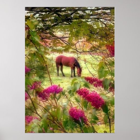 Horse en Lilacs Poster (Voorkant)