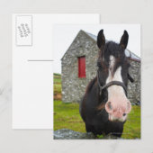 Horse en steenschuur op het platteland van Engelan Briefkaart (Voorkant / Achterkant)