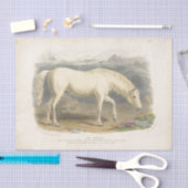 Horse Ephemera Decoupage  Arabisch Tissuepapier (Craft)