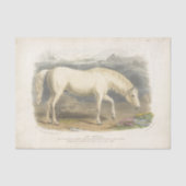Horse Ephemera Decoupage  Arabisch Tissuepapier (Voorkant)