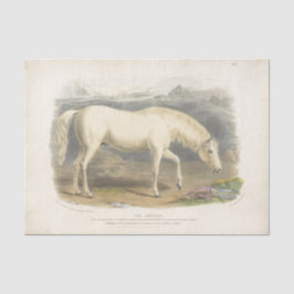 Horse Ephemera Decoupage Arabisch Tissuepapier