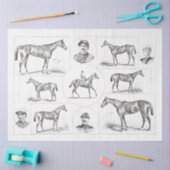 Horse Ephemera Decoupage  Boerderij Tissuepapier (Craft)