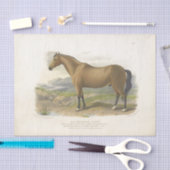 Horse Ephemera Decoupage  Brown Tissuepapier (Craft)