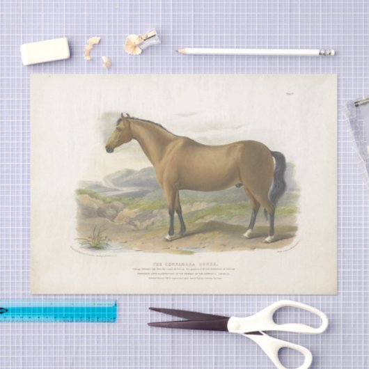 Horse Ephemera Decoupage  Brown Tissuepapier (Craft)