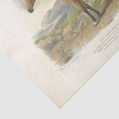 Horse Ephemera Decoupage  Brown Tissuepapier (Detail)