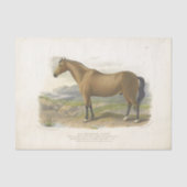 Horse Ephemera Decoupage Brown Tissuepapier (Voorkant)