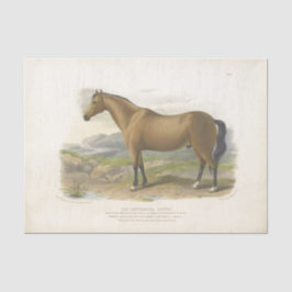 Horse Ephemera Decoupage Brown Tissuepapier