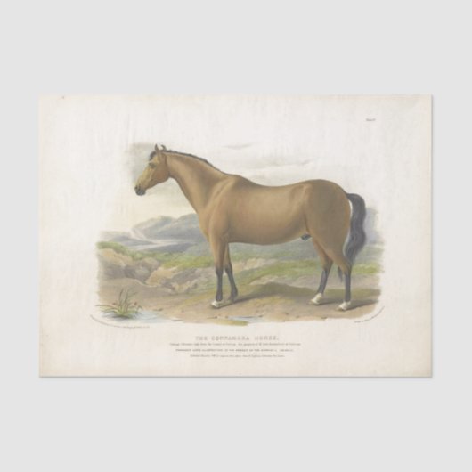Horse Ephemera Decoupage  Brown Tissuepapier (Voorkant)