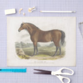 Horse Ephemera Decoupage  Cleveland Bay Tissuepapier (Craft)