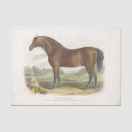 Horse Ephemera Decoupage Cleveland Bay Tissuepapier