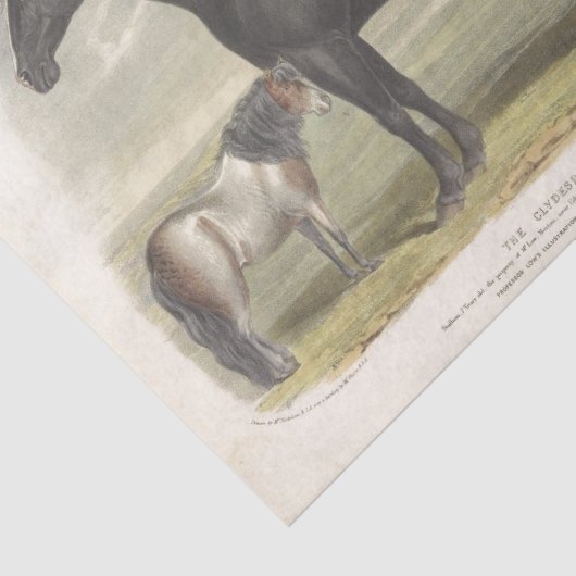 Horse Ephemera Decoupage  Clydesdale Tissuepapier (Detail)